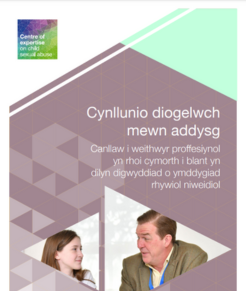 Cynllunio diogelwch mewn addysg: Canllaw i weithwyr proffesiynol yn rhoi cymorth i blant yn dilyn digwyddiad o ymddygiad rhywiol niweidiol